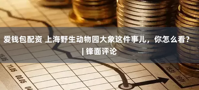 爱钱包配资 上海野生动物园大象这件事儿，你怎么看？ | 锋面评论